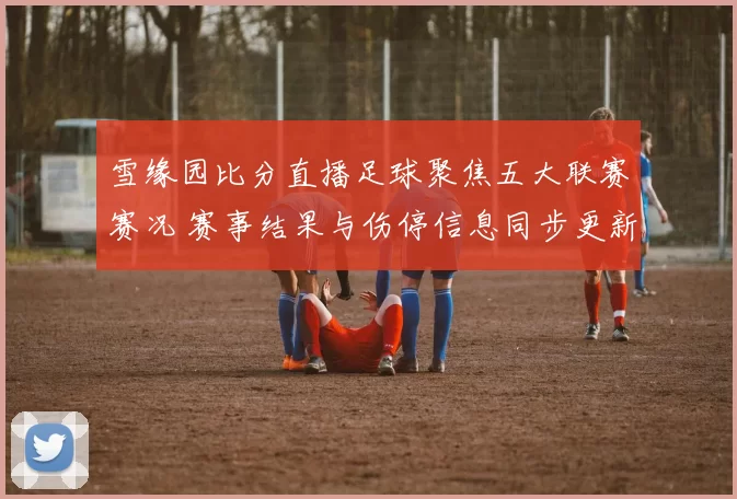 雪缘园比分直播足球聚焦五大联赛赛况 赛事结果与伤停信息同步更新